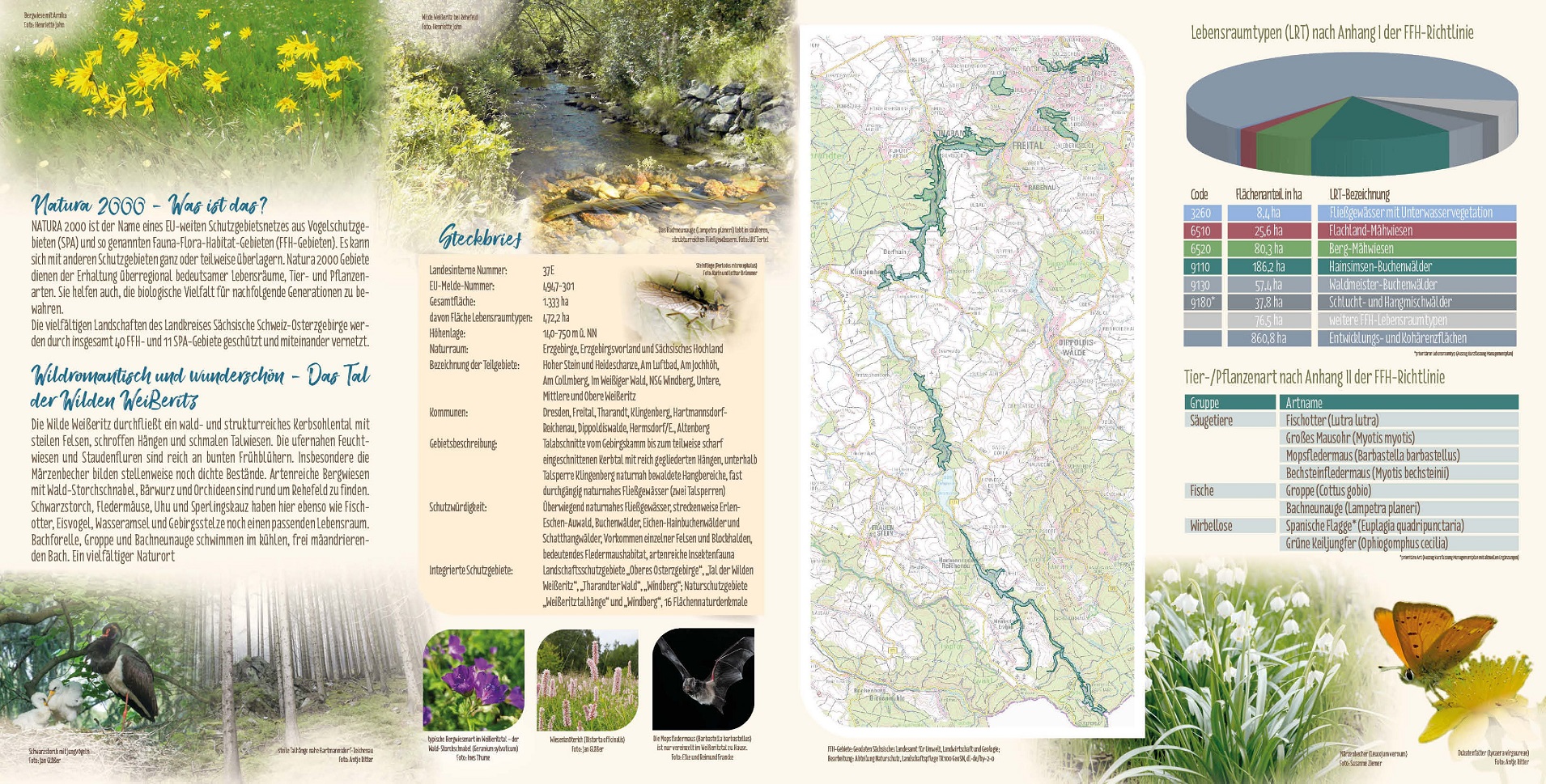 tl_files/downloads/Bilder Projekte/Projektstellen/Natura 2000 2.0/Flyer/LPV_Weisseritz_2.jpg